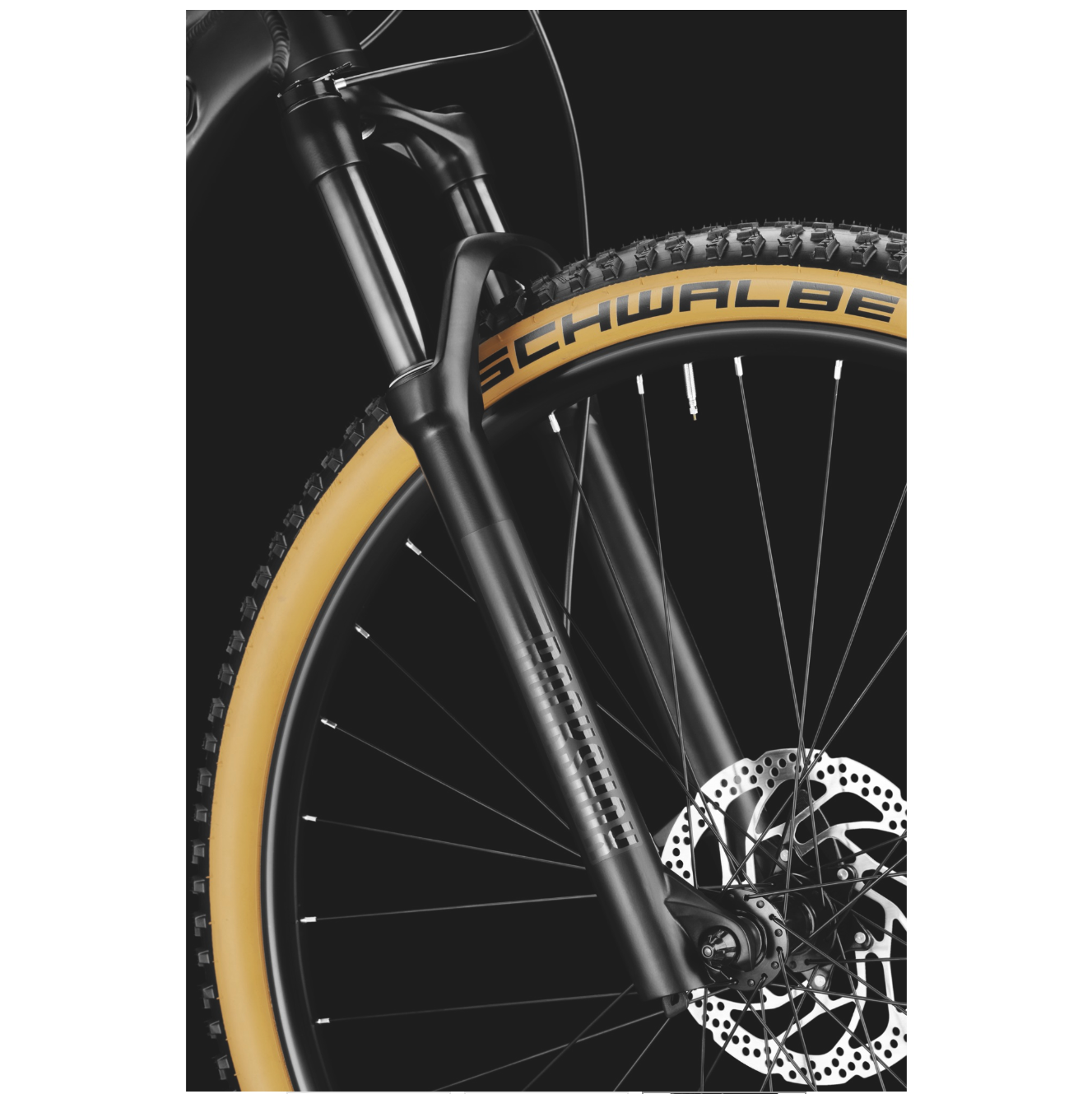 Bergamotte Revox 8