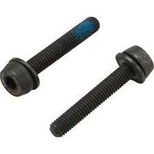 Campagnolo Kit 2 Fixing Screws 29mm (Sheath 20-24mm)