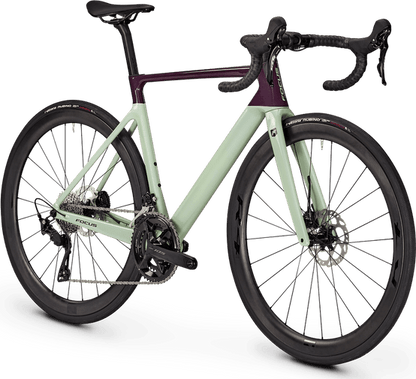 Focus Izalco Max 8.8 