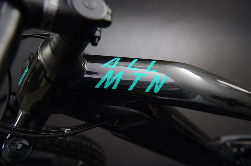 Haibike Allmtn 1 