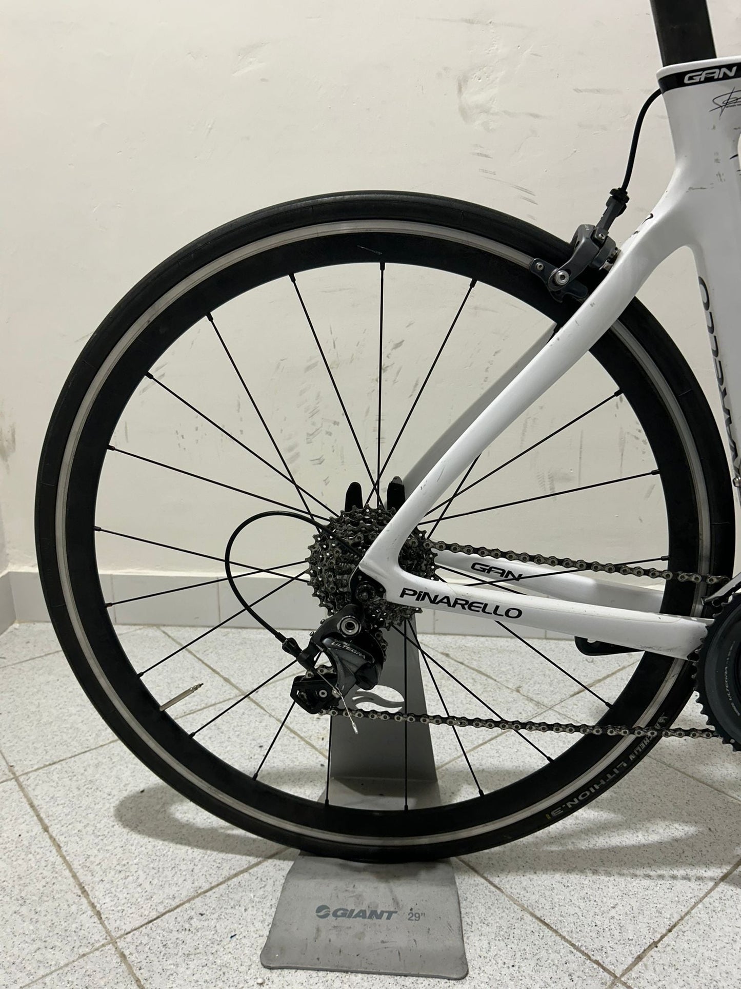 Pinarello Gan Größe 53 - Gebraucht 